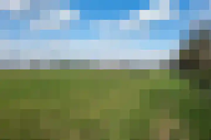 Hereweg 54 Meeden thumbnail 45