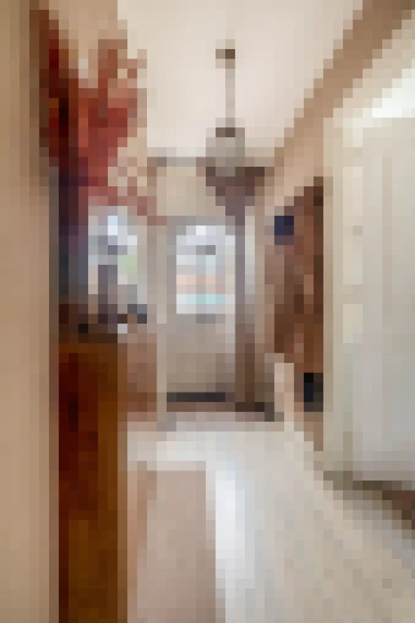 Hereweg 60 Meeden thumbnail 17
