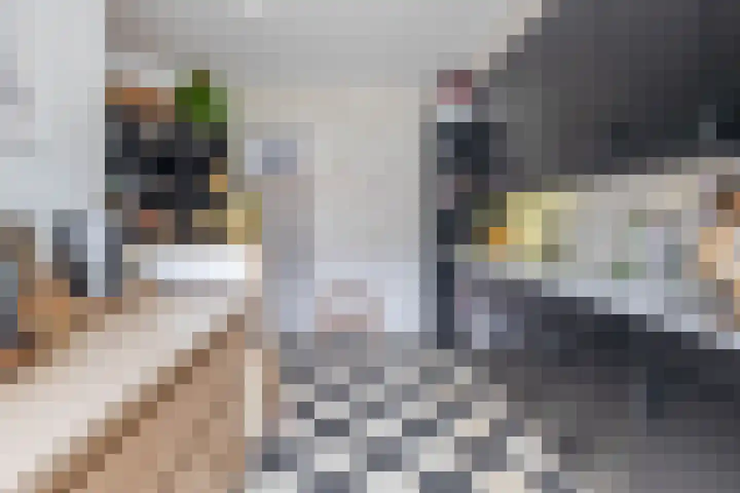 Hereweg 60 Meeden thumbnail 19