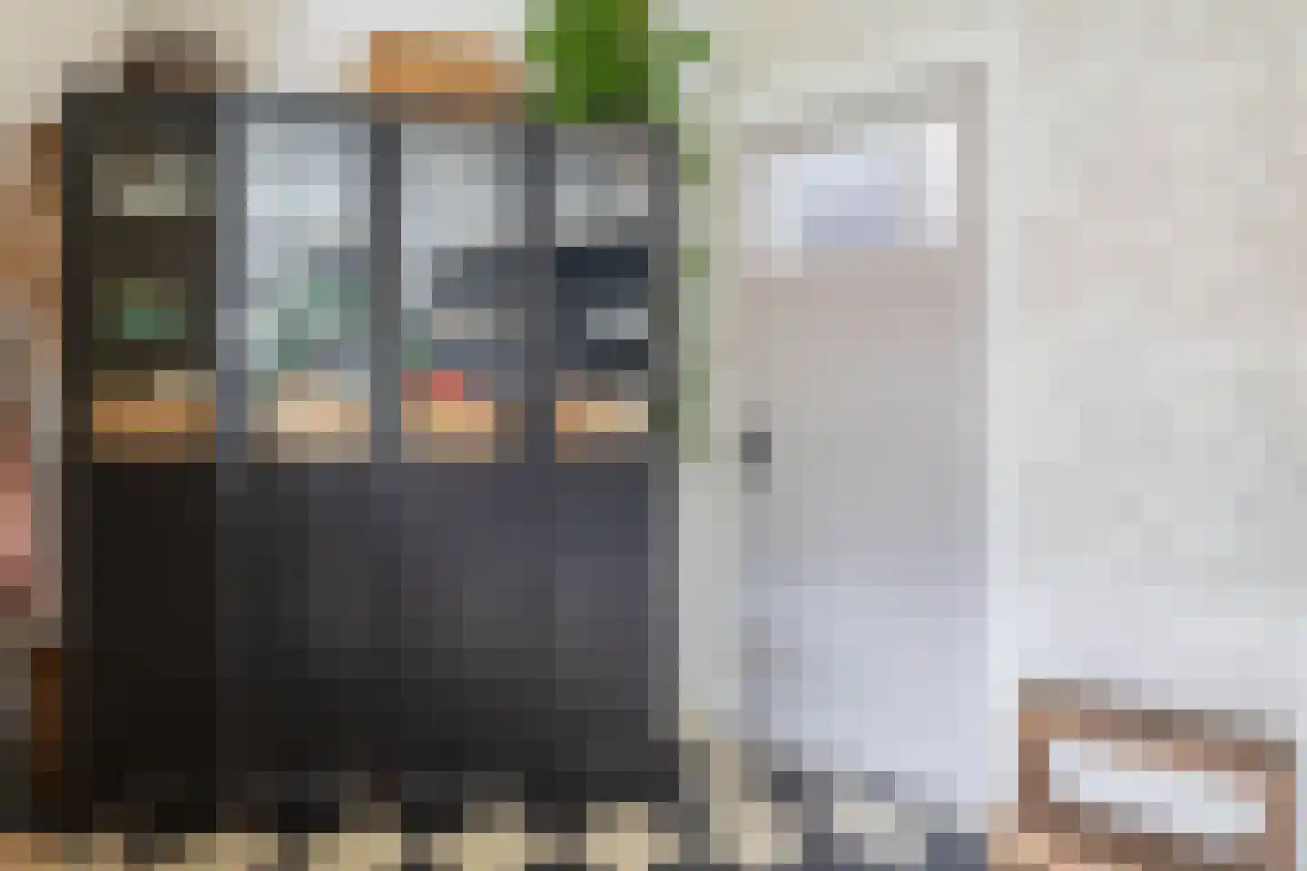Hereweg 60 Meeden thumbnail 22