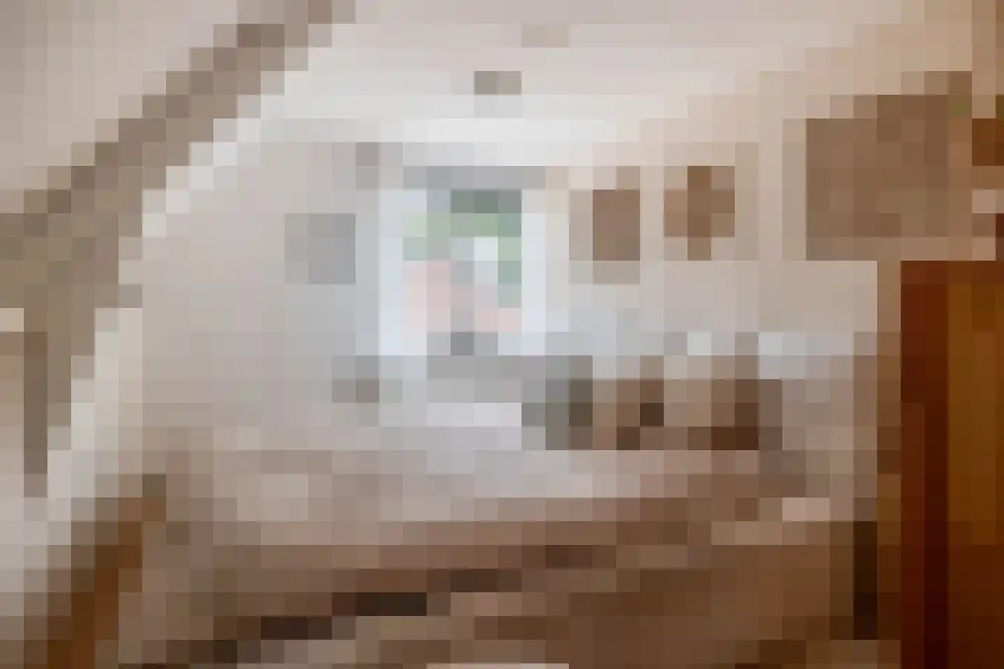 Hereweg 60 Meeden thumbnail 32