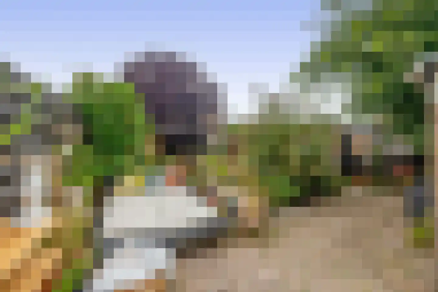 Hereweg 60 Meeden thumbnail 34