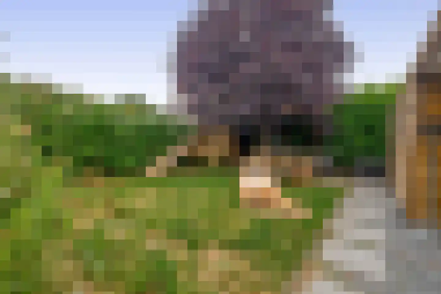 Hereweg 60 Meeden thumbnail 36