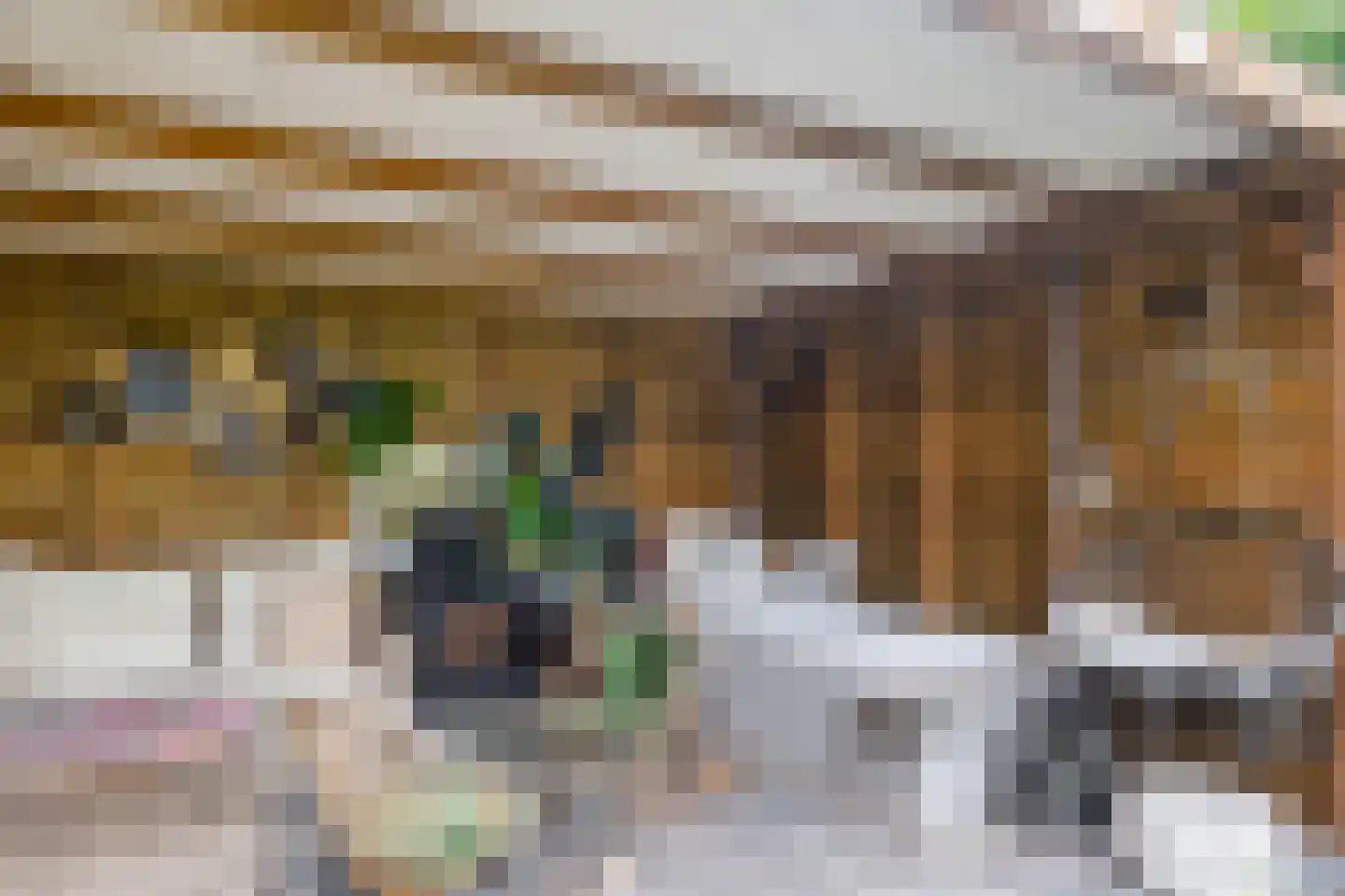 Hereweg 60 Meeden thumbnail 37