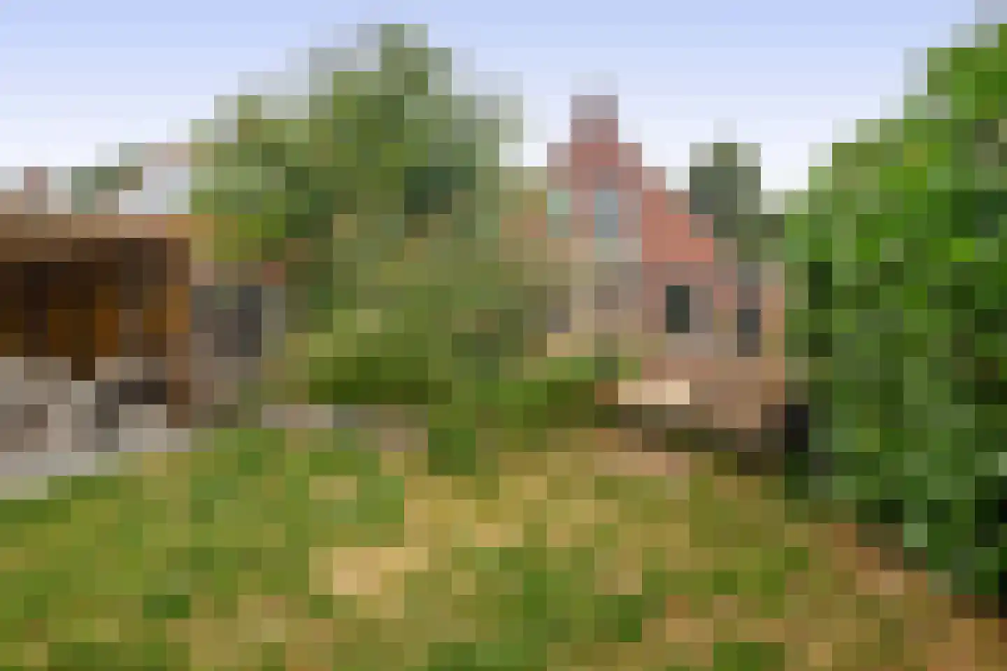 Hereweg 60 Meeden thumbnail 39
