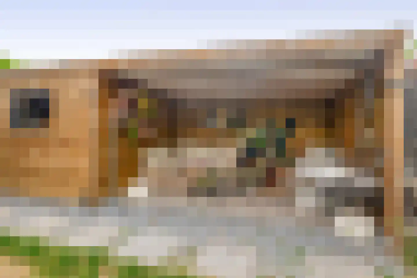 Hereweg 60 Meeden thumbnail 4