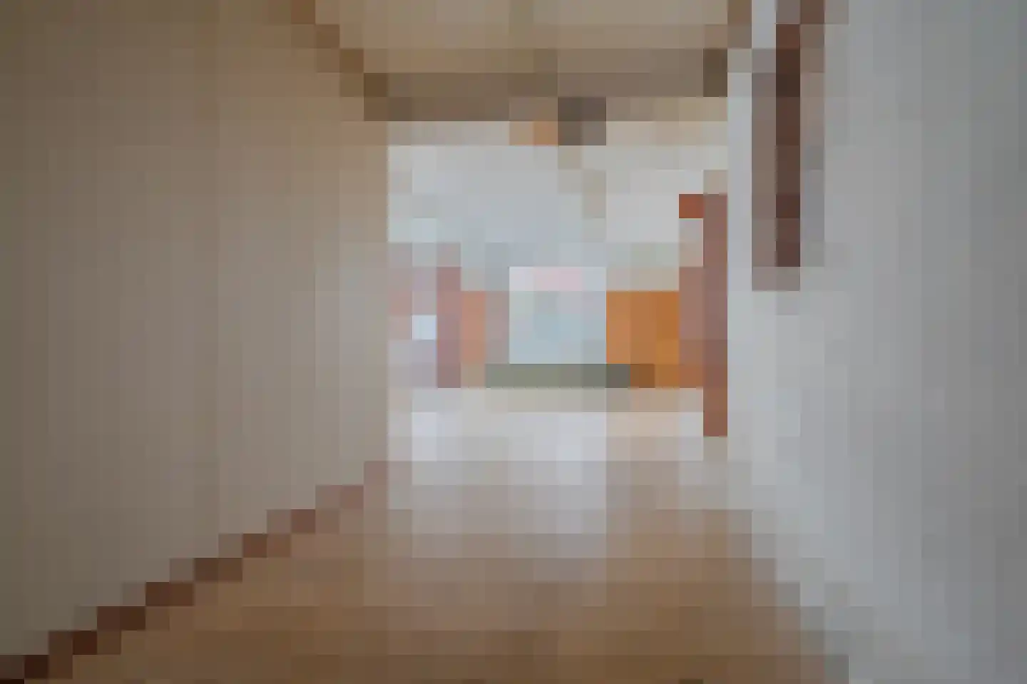 Hereweg 61 Bierum thumbnail 18