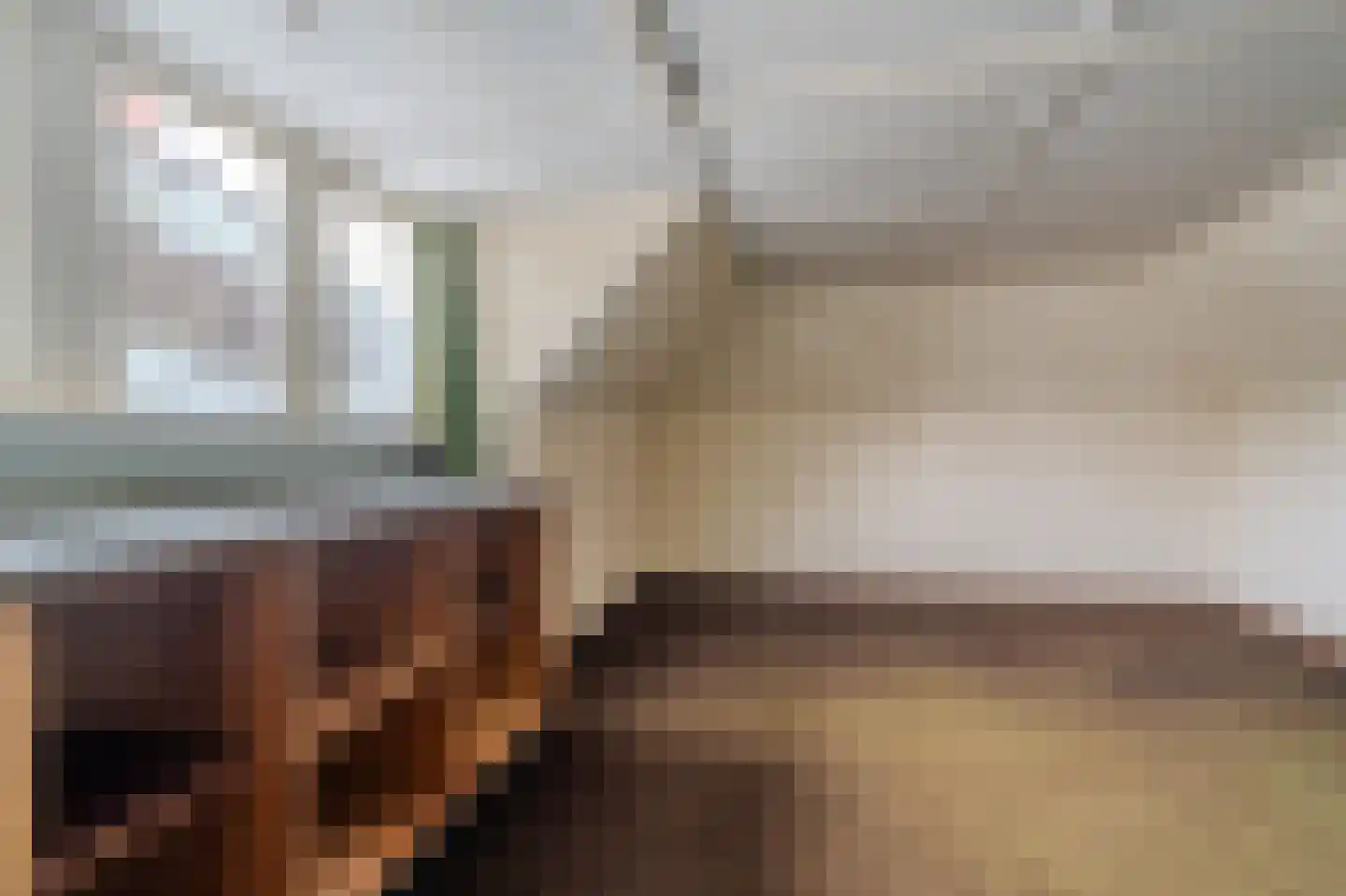 Hereweg 61 Bierum thumbnail 26