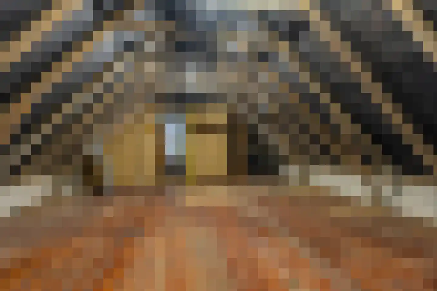 Hereweg 61 Bierum thumbnail 34