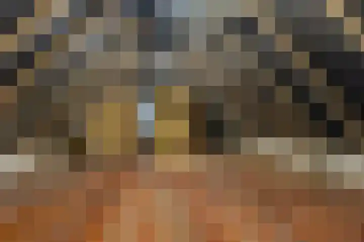 Hereweg 61 Bierum thumbnail 34