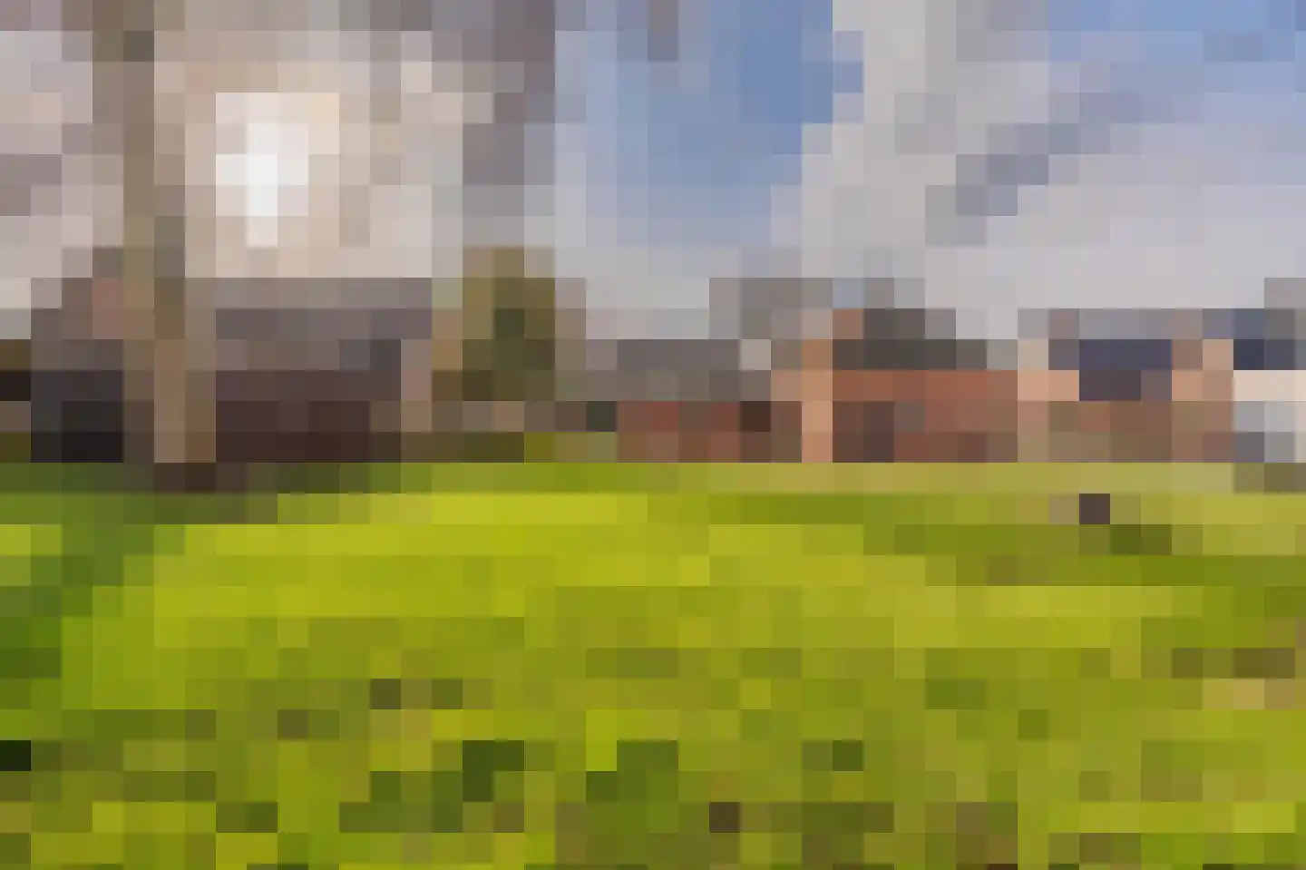 Hereweg 61 Bierum thumbnail 39