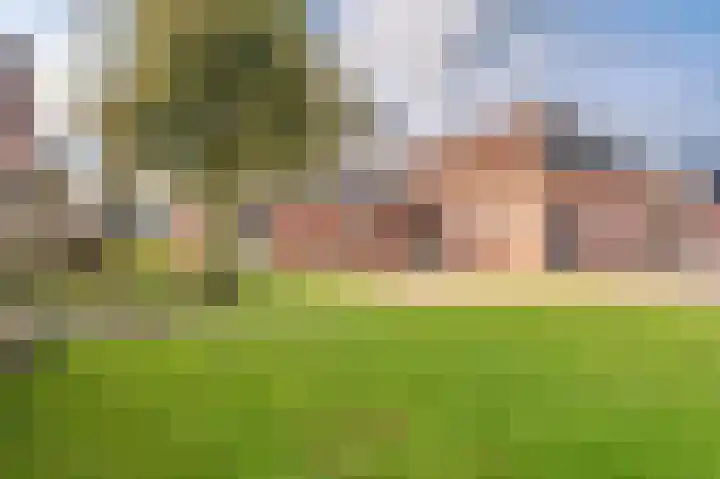 Hereweg 61 Bierum thumbnail 41