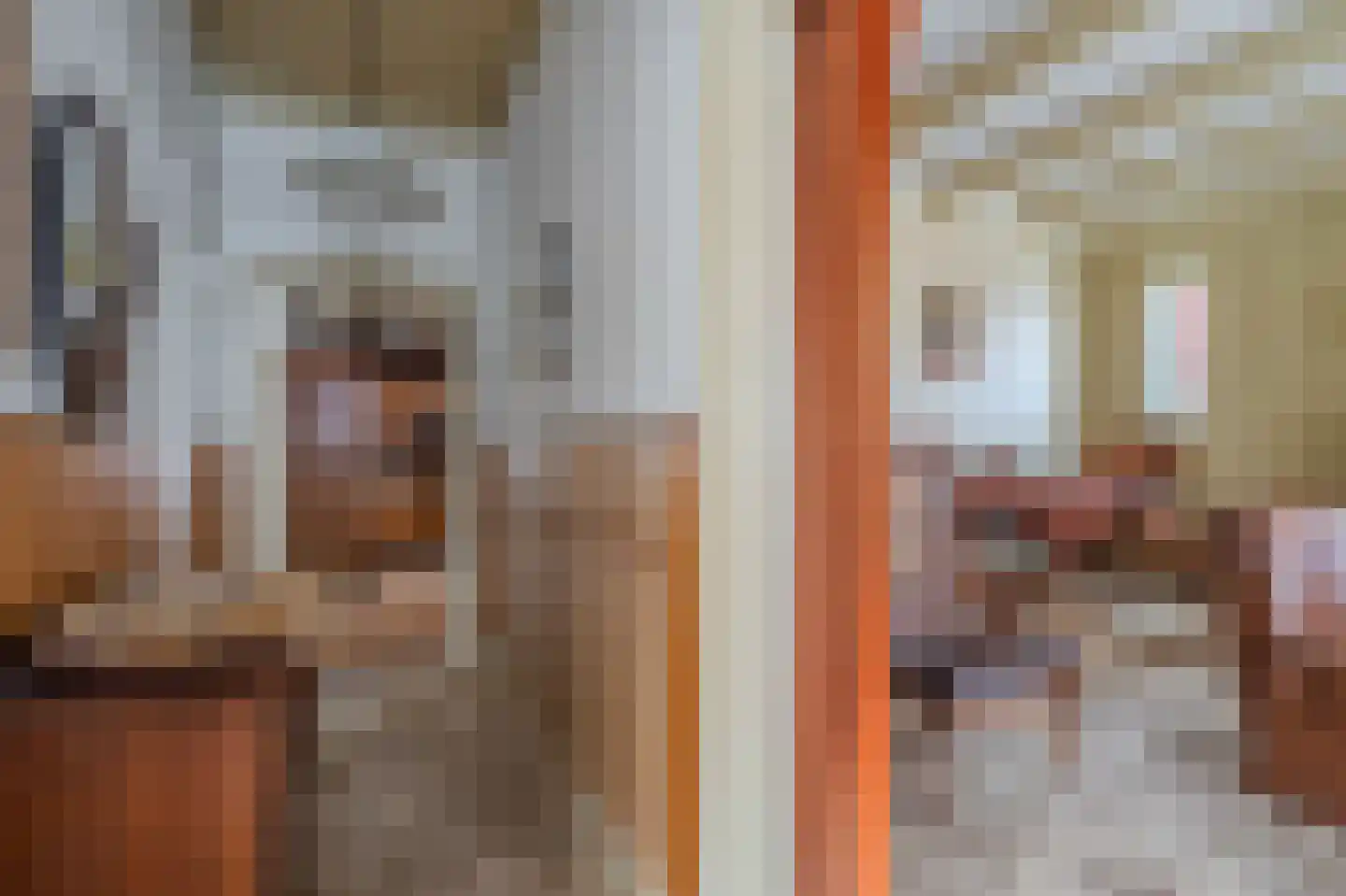 Hereweg 61 Bierum thumbnail 7