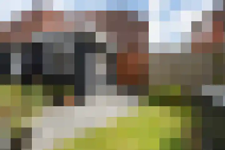 Hereweg 62 Bierum thumbnail 12