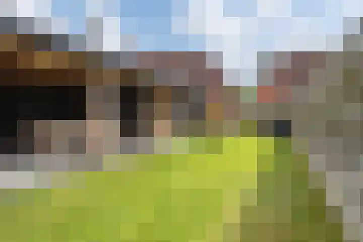 Hereweg 62 Bierum thumbnail 15