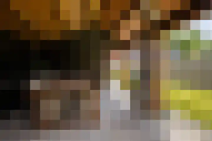 Hereweg 62 Bierum thumbnail 16