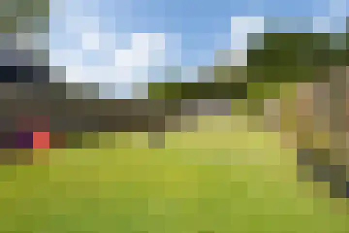 Hereweg 62 Bierum thumbnail 17