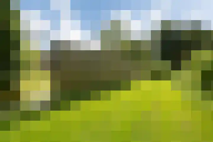 Hereweg 62 Bierum thumbnail 18