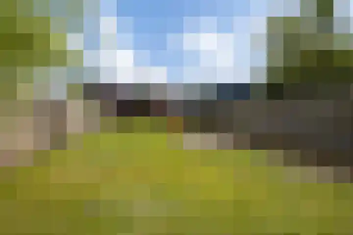 Hereweg 62 Bierum thumbnail 19