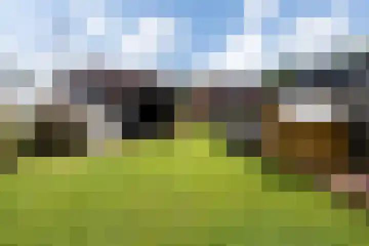 Hereweg 62 Bierum thumbnail 20