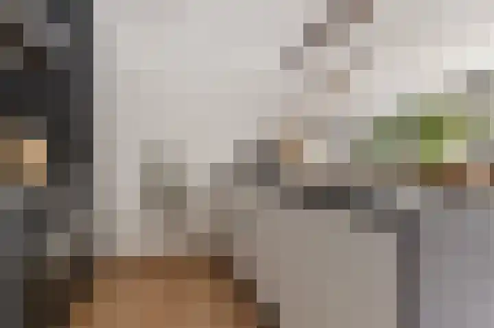 Hereweg 62 Bierum thumbnail 31