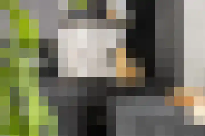 Hereweg 62 Bierum thumbnail 32