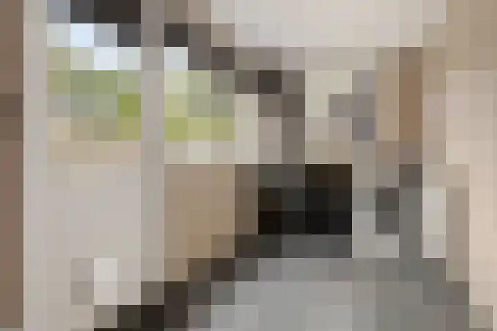 Hereweg 62 Bierum thumbnail 35