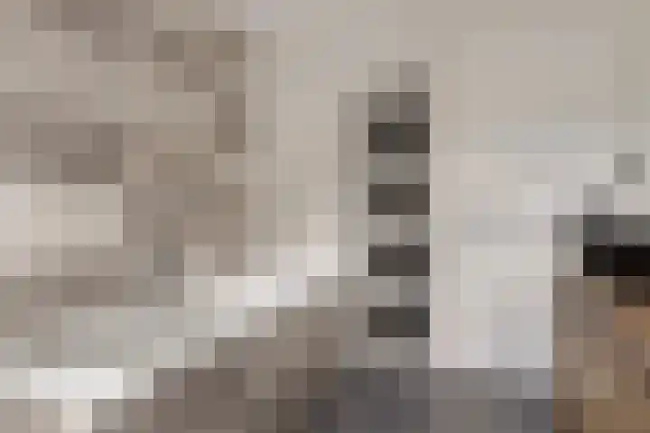 Hereweg 62 Bierum thumbnail 39