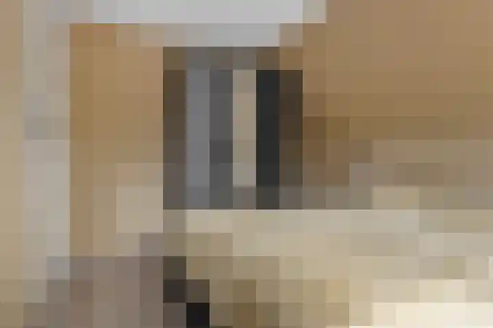 Hereweg 62 Bierum thumbnail 47