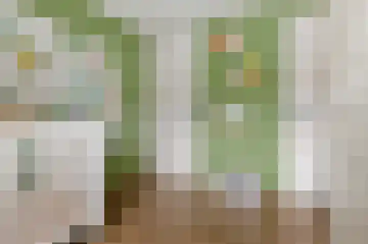 Hereweg 62 Bierum thumbnail 50