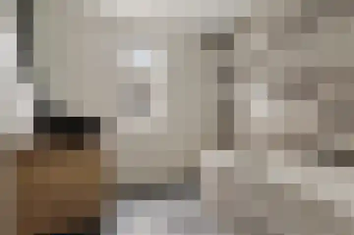 Hereweg 62 Bierum thumbnail 6