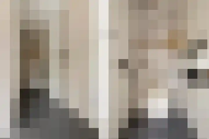 Hereweg 62 Bierum thumbnail 7