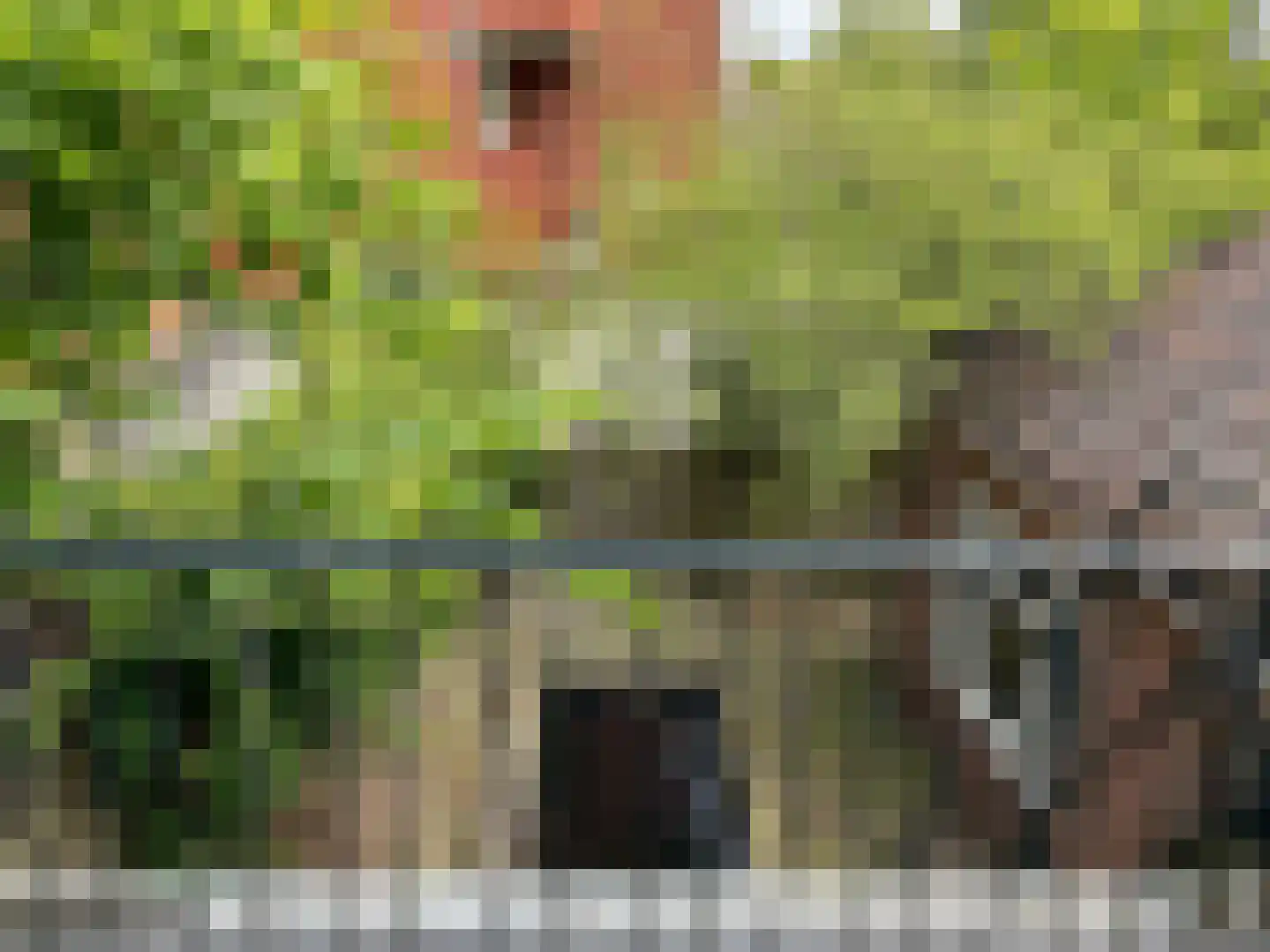 Hereweg 68 a Groningen thumbnail 21