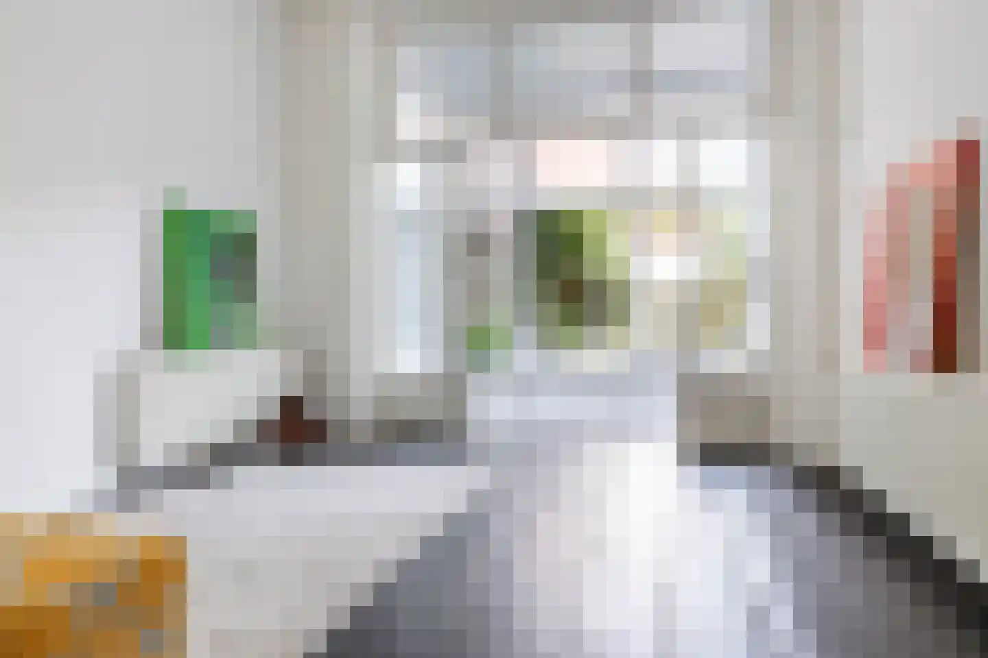 Hereweg 68 Groningen thumbnail 12