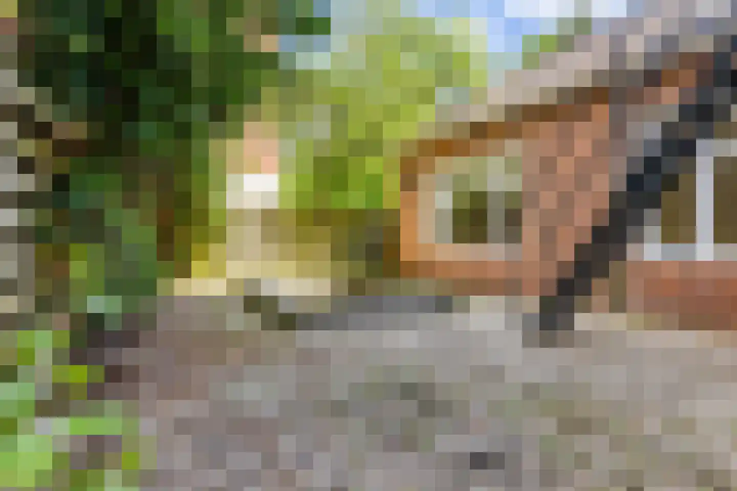 Hereweg 68 Groningen thumbnail 22