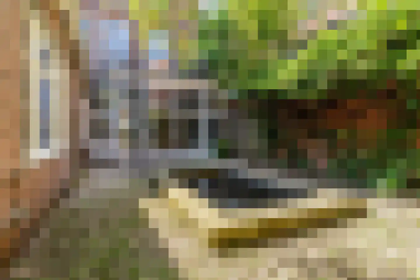 Hereweg 68 Groningen thumbnail 23