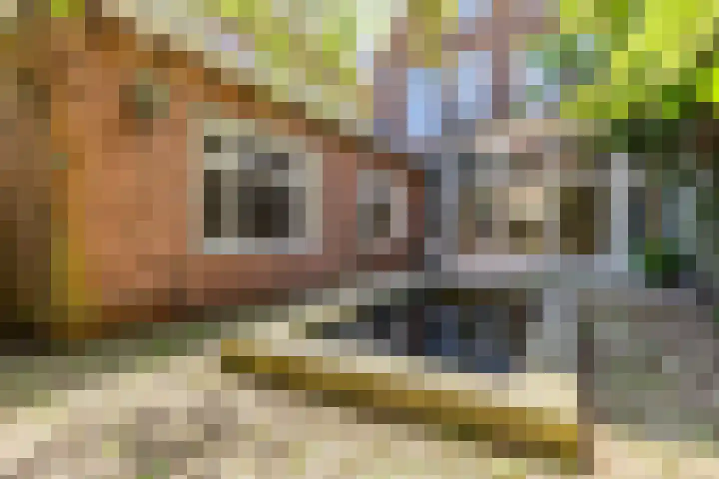 Hereweg 68 Groningen thumbnail 24