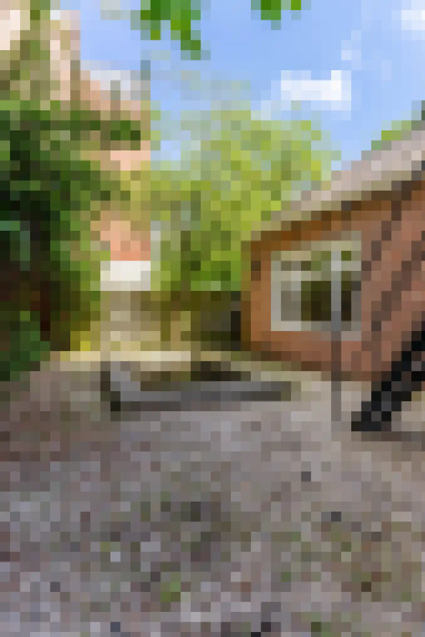 Hereweg 68 Groningen thumbnail 30