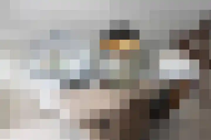 Hereweg 7 Landgraaf thumbnail 13