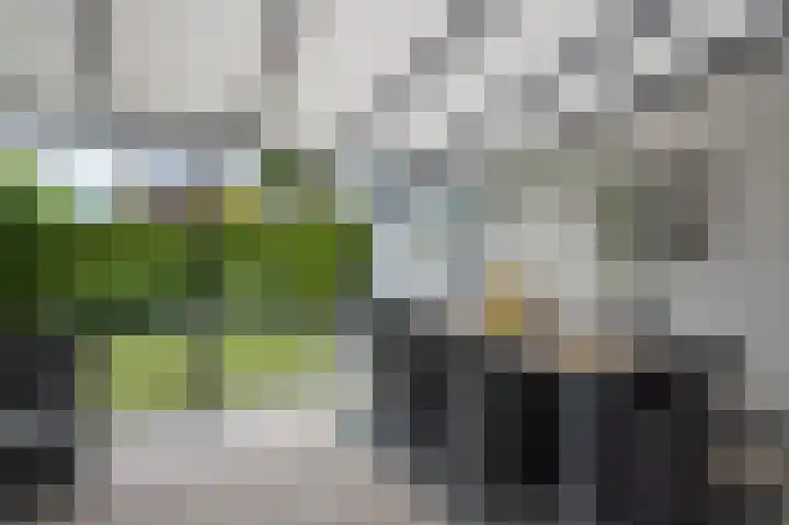 Hereweg 7 Landgraaf thumbnail 28