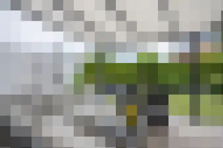 Hereweg 7 Landgraaf thumbnail 29