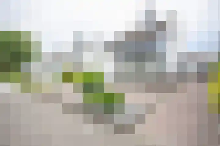 Hereweg 7 Landgraaf thumbnail 35