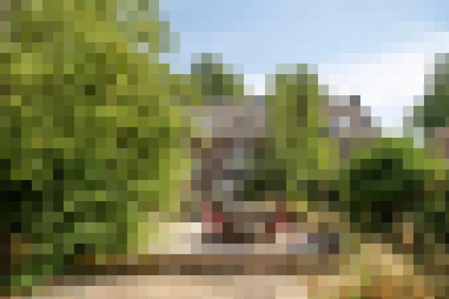 Hereweg 70 Landgraaf thumbnail 29