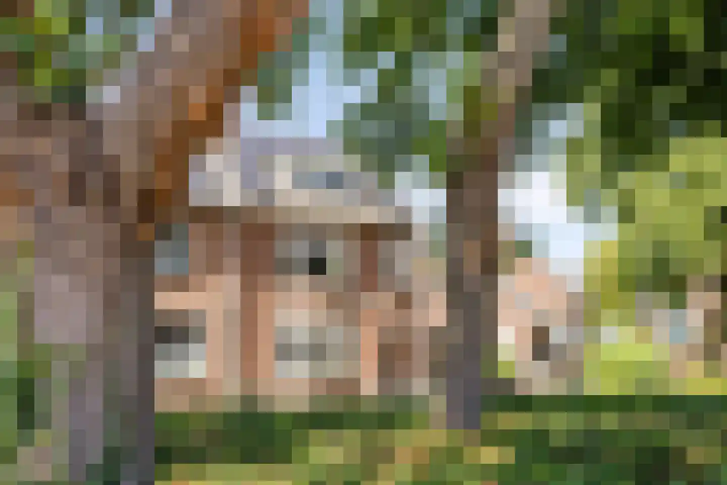 Hereweg 70 Landgraaf thumbnail 34