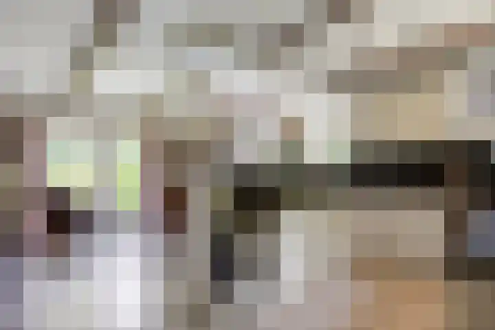 Hereweg 8 Eenrum thumbnail 22