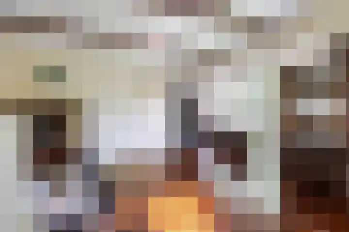 Hereweg 8 Eenrum thumbnail 26