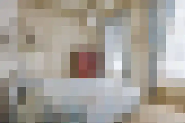 Hereweg 8 Eenrum thumbnail 28