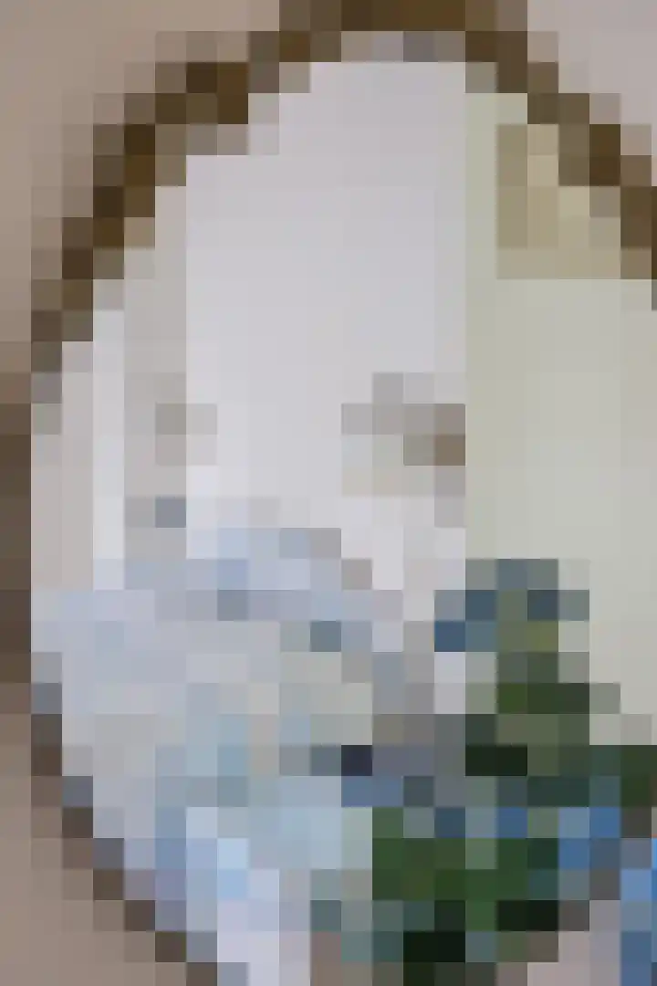 Hereweg 8 Eenrum thumbnail 29