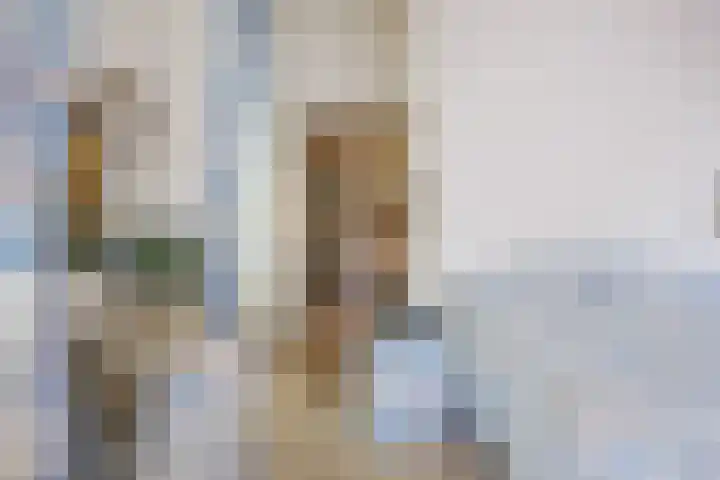 Hereweg 8 Eenrum thumbnail 30