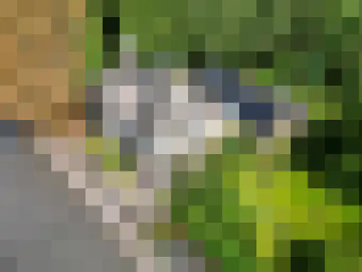 Hereweg 8 Eenrum thumbnail 4